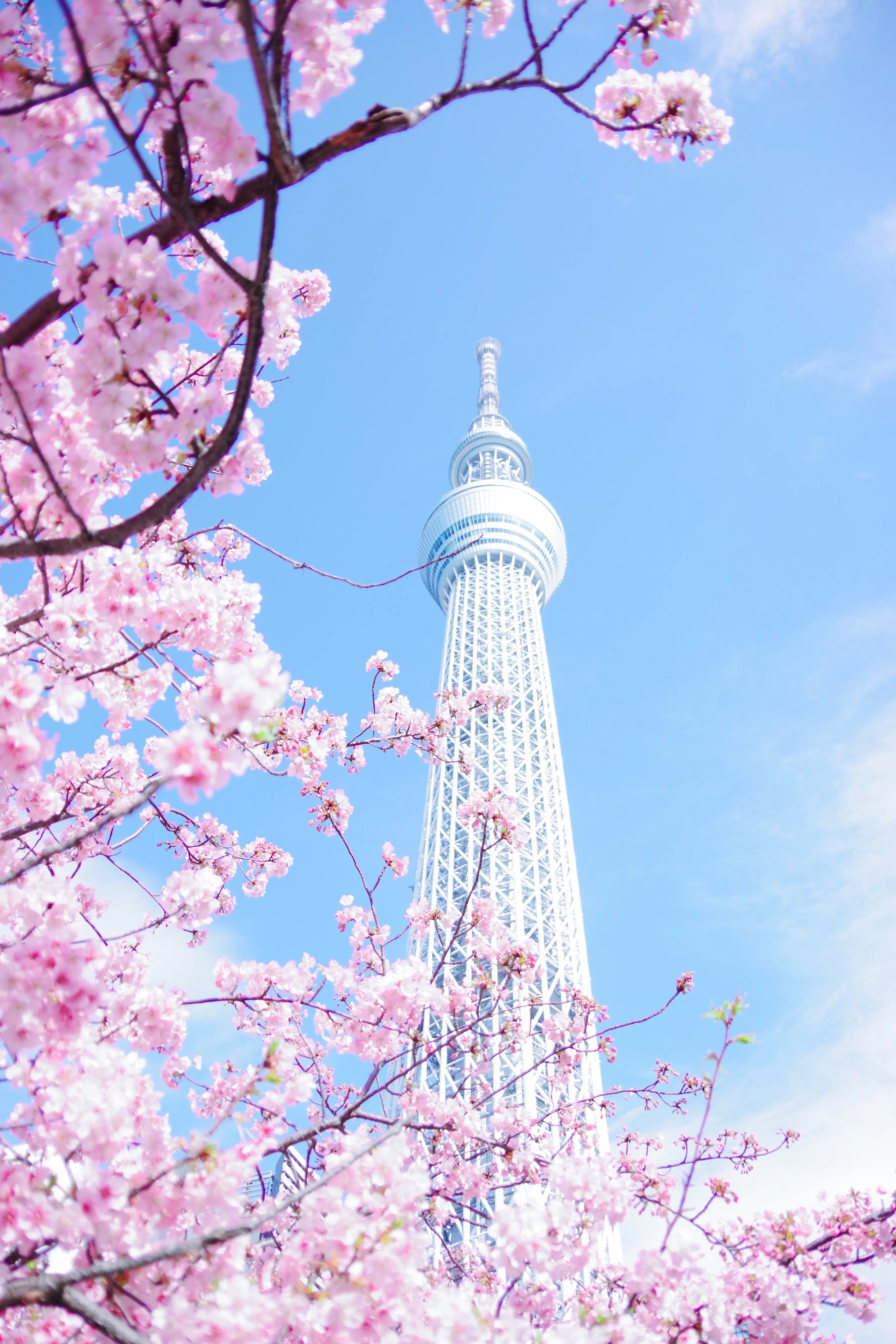  Tokyo Skytree  is een 634 meter hoge televisietoren in Sumida bij Tokyo, Japan.